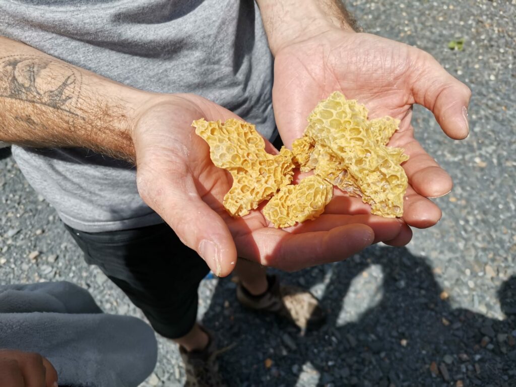 2038145d-ccd7-4290-a103-f67b592195ab