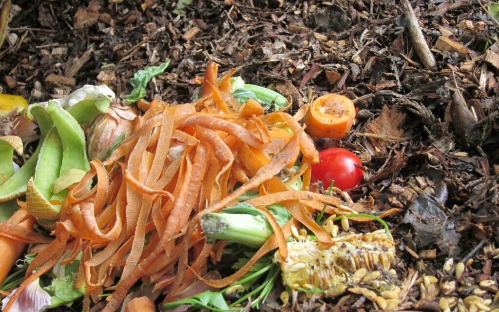 webIMG_0003-1080x675