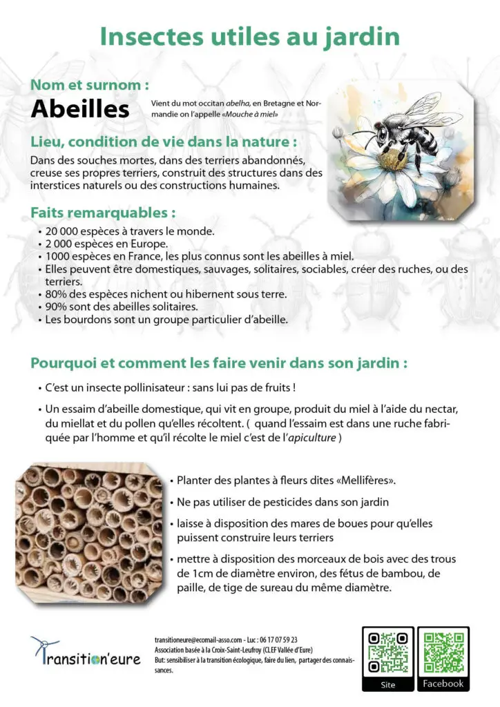 Fiches insectes