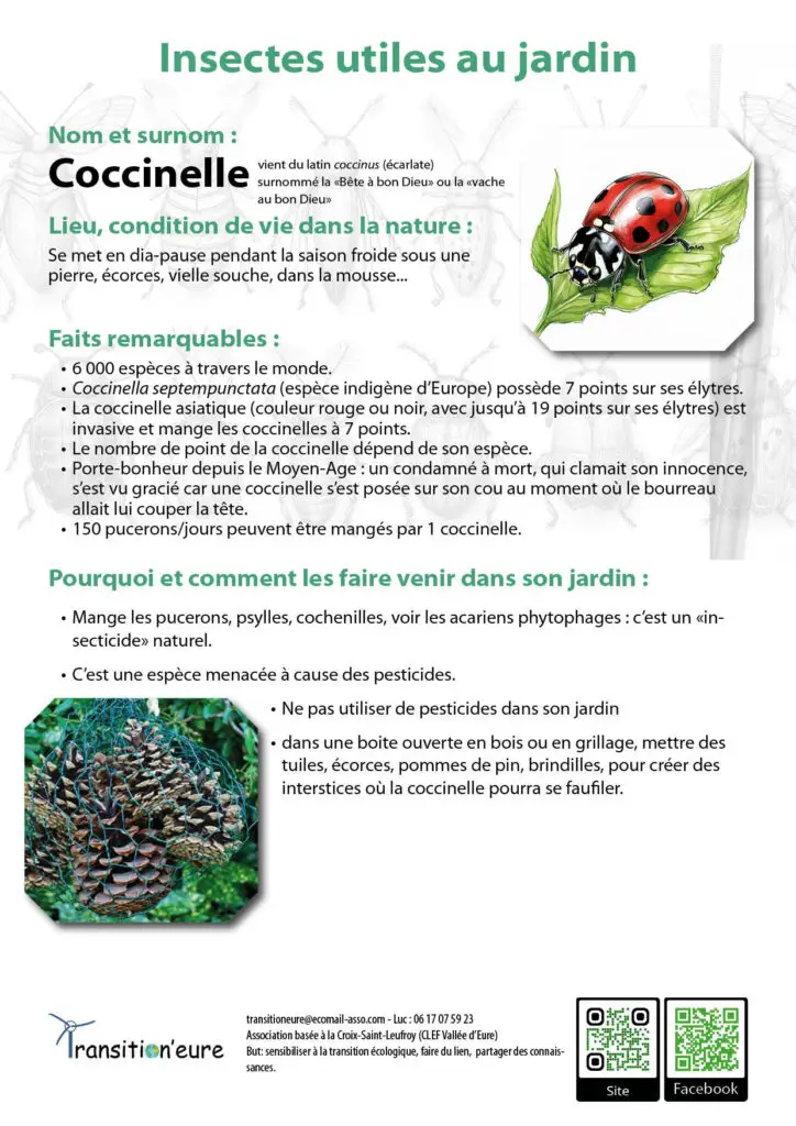 Fiches insectes12